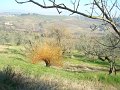 DSC02115