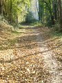 DSC02142