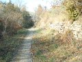 DSC02147