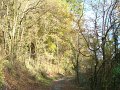DSC02149