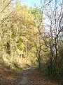 DSC02150