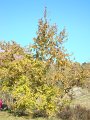 DSC02164