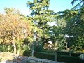 DSC02174