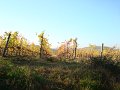 DSC02178