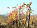 DSC02179