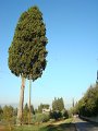 DSC02187