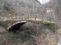 DSCN0993