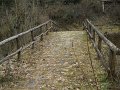 DSCN1004