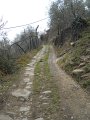 DSCN1006