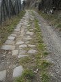 DSCN1008