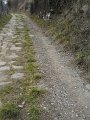 DSCN1009