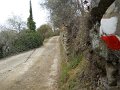 DSCN1012
