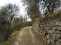 DSCN1013