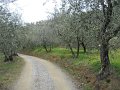DSCN1015