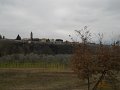 DSCN1018