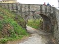 DSCN1023