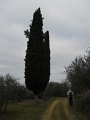 DSCN1029