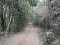 DSCN1033