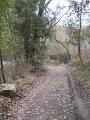 DSCN1036