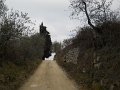 DSCN1037