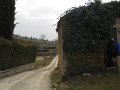 DSCN1046