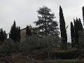 DSCN1048
