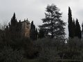 DSCN1050