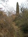 DSCN1061