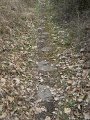 DSCN1062
