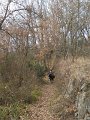 DSCN1063