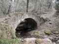 DSCN1069