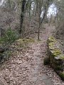DSCN1070