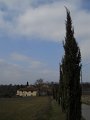 DSCN1082
