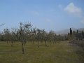 DSCN1094