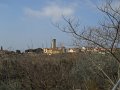 DSCN1126