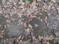 DSCN1170