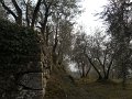 DSCN1179