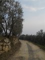 DSCN1183
