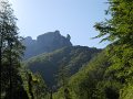 DSCN0863