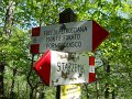 DSCN0869