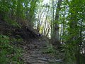 DSCN0870