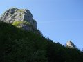 DSCN0879