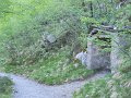 DSCN0880