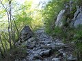 DSCN0893
