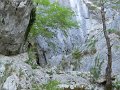 DSCN0931
