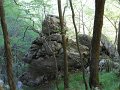 DSCN0935