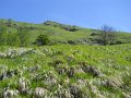 DSCN0942