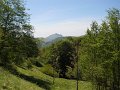 DSCN0945