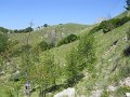 DSCN0946