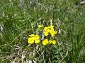 DSCN0953